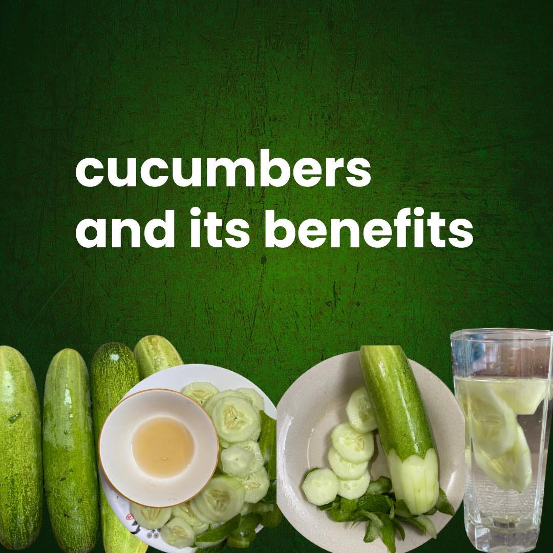 Benefits of cucumber Ruo Fau Medium