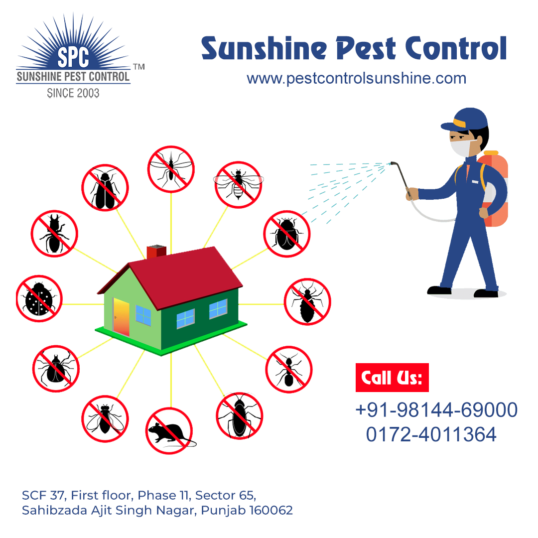 Pest Management Services Sunshine Pest Control(Mr. Arshi Singh) Medium