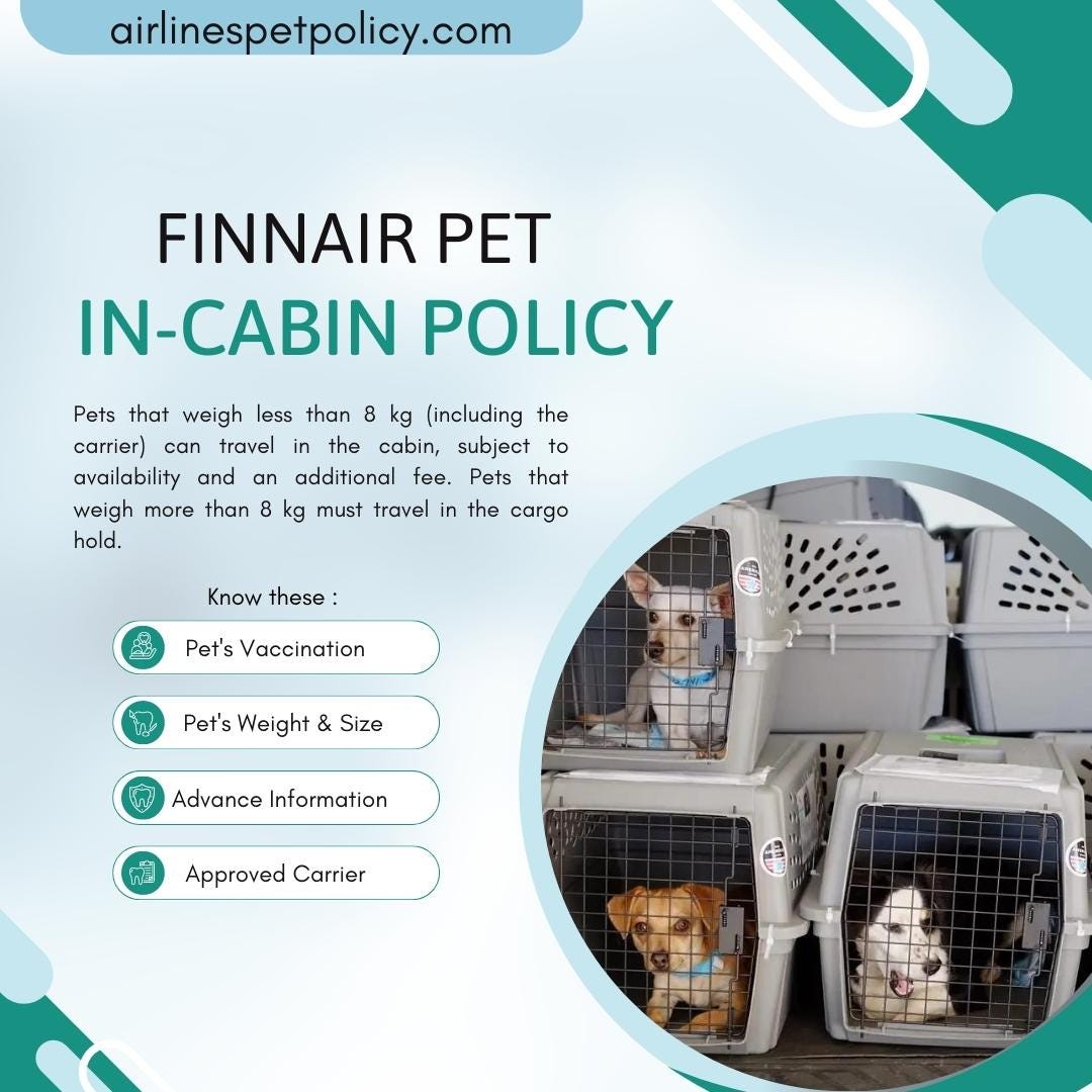 Pets on Finnair Flights