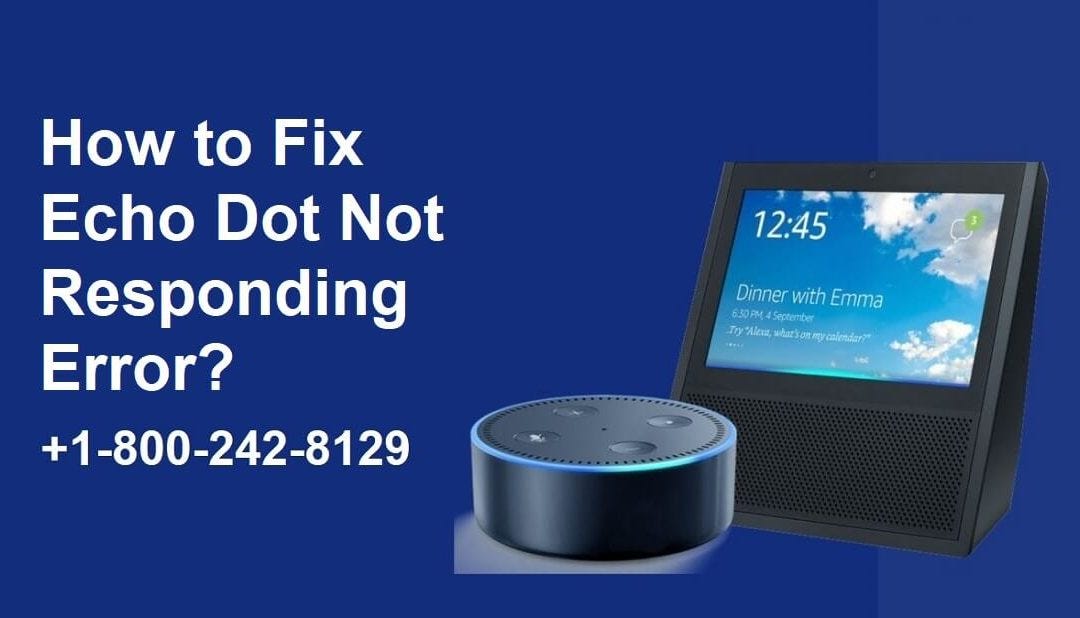 Why Is My Echo Dot Not Responding To My Voice - Why Won't My Echo Dot Talk To Me