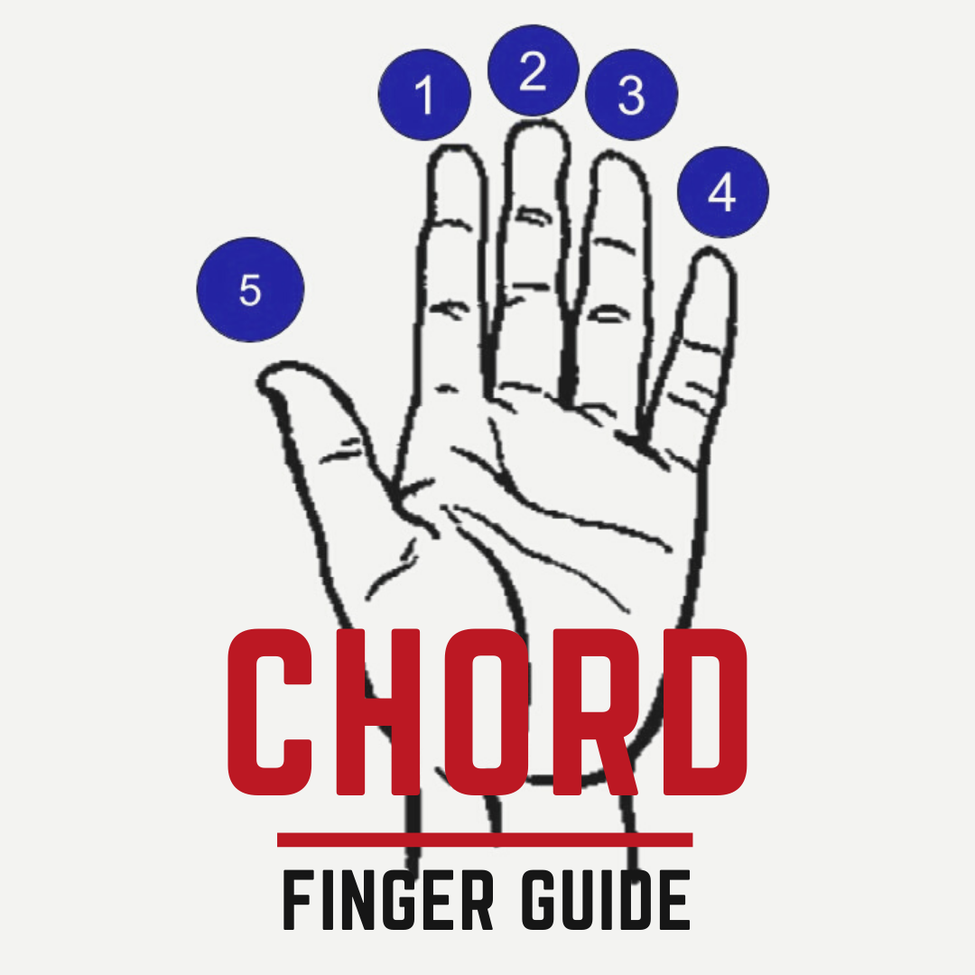 Strumming, Picking and Chord Charts (For Beginners) by 60 Sec Guitar Medium