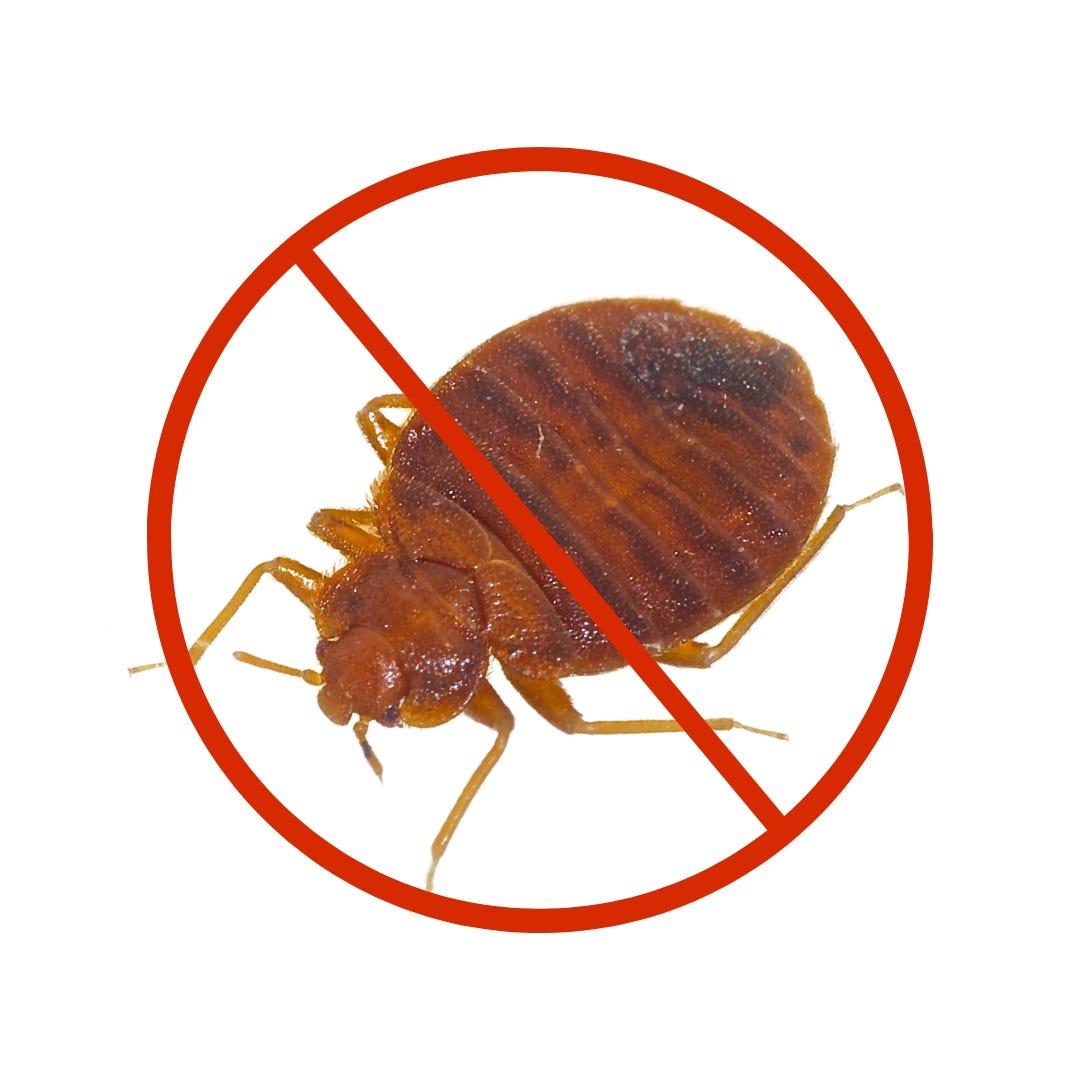 bed-bugs-pest-control-services-don-t-let-the-bed-bugs-bite-by-expert