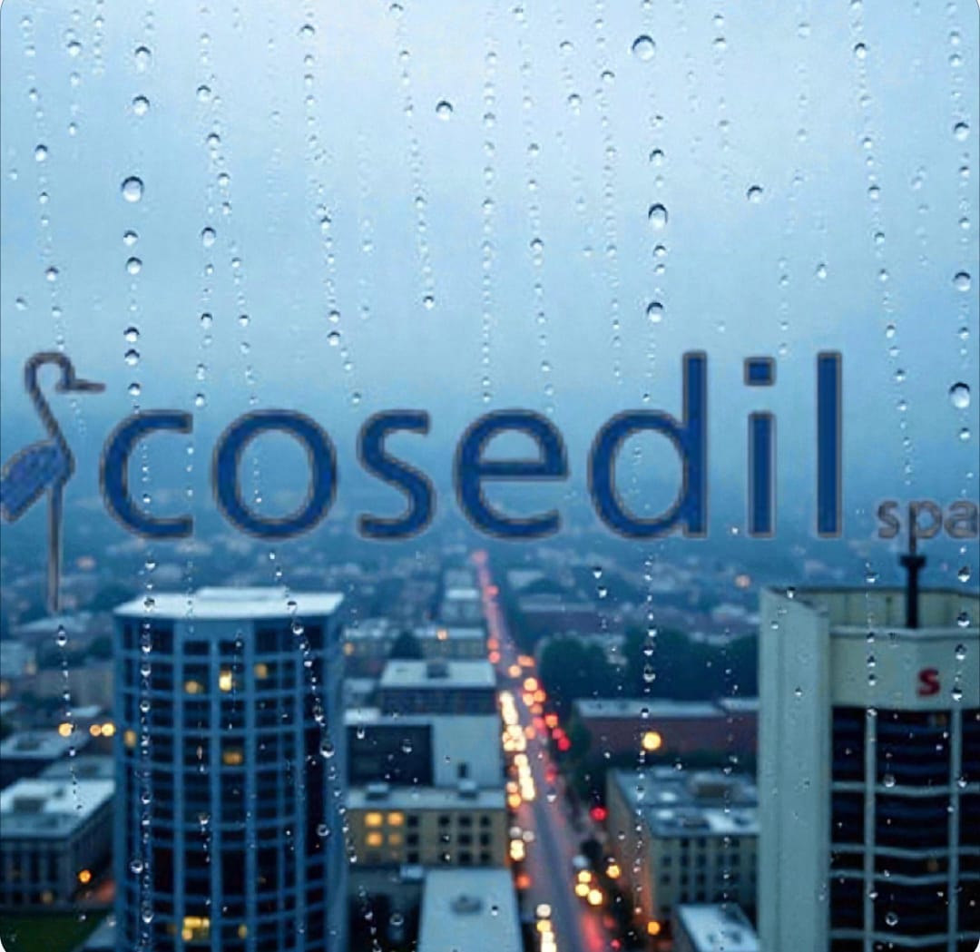 COSEDIL Spa: Il problema non sono i 29 giorni per ottenere il permesso di costruire, bensì la…
