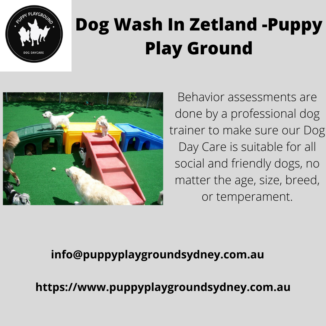 Dog Wash In Zetland Puppy Play Ground Puppyplaygroundsydney Com Au