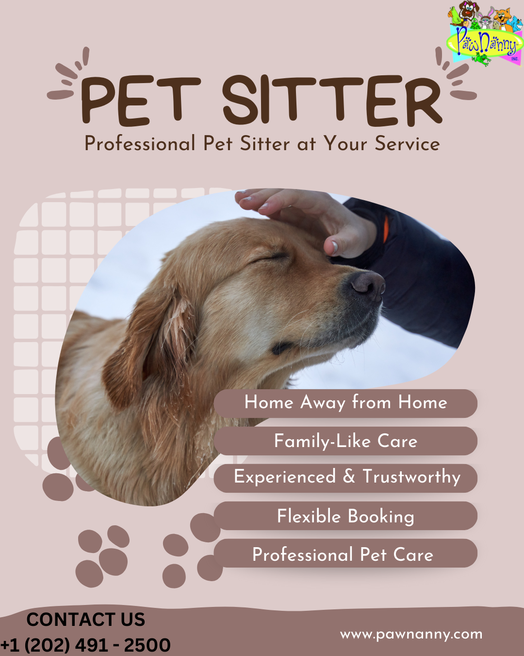 The Benefits of Hiring a Pet House Sitter for Your Peace of Mind by