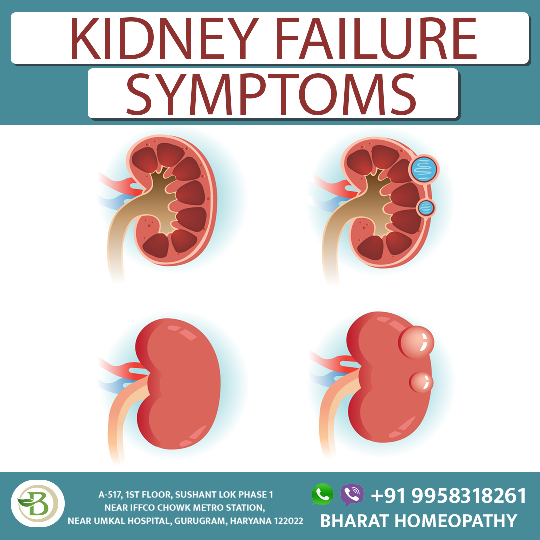 Why Kidney Failure Occurs In Our Body? | By Bharat Homeopathy | Medium