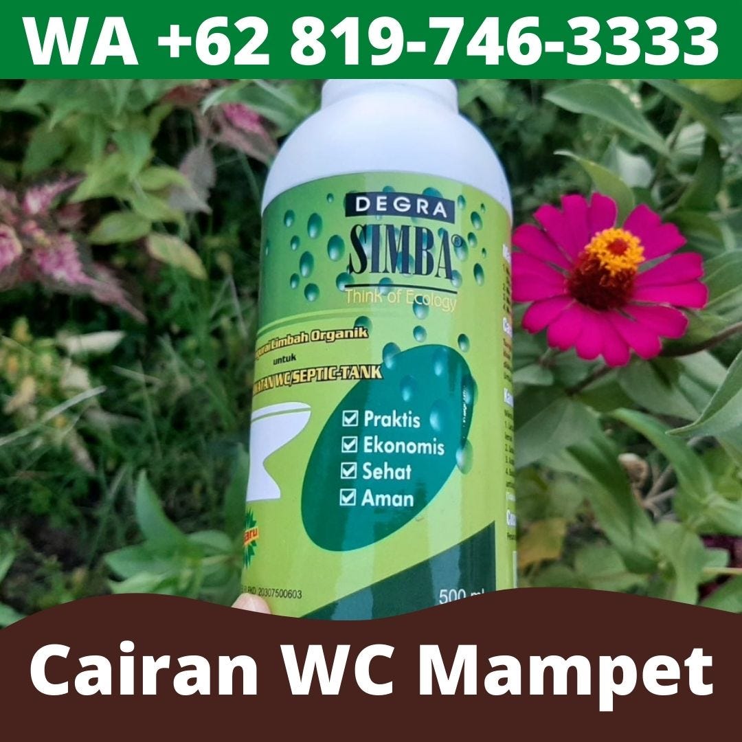 TERBAIK! WA +62 819–746–3333, Solusi WC Jongkok Penuh