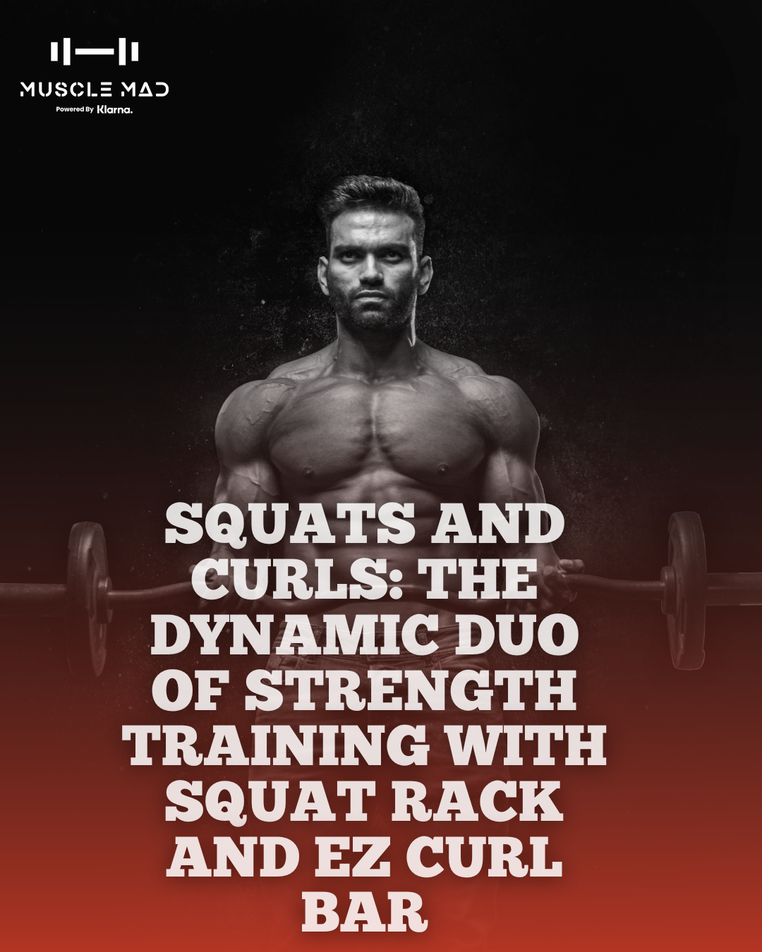 Squats and Curls The Dynamic Duo of Strength Training with Squat Rack