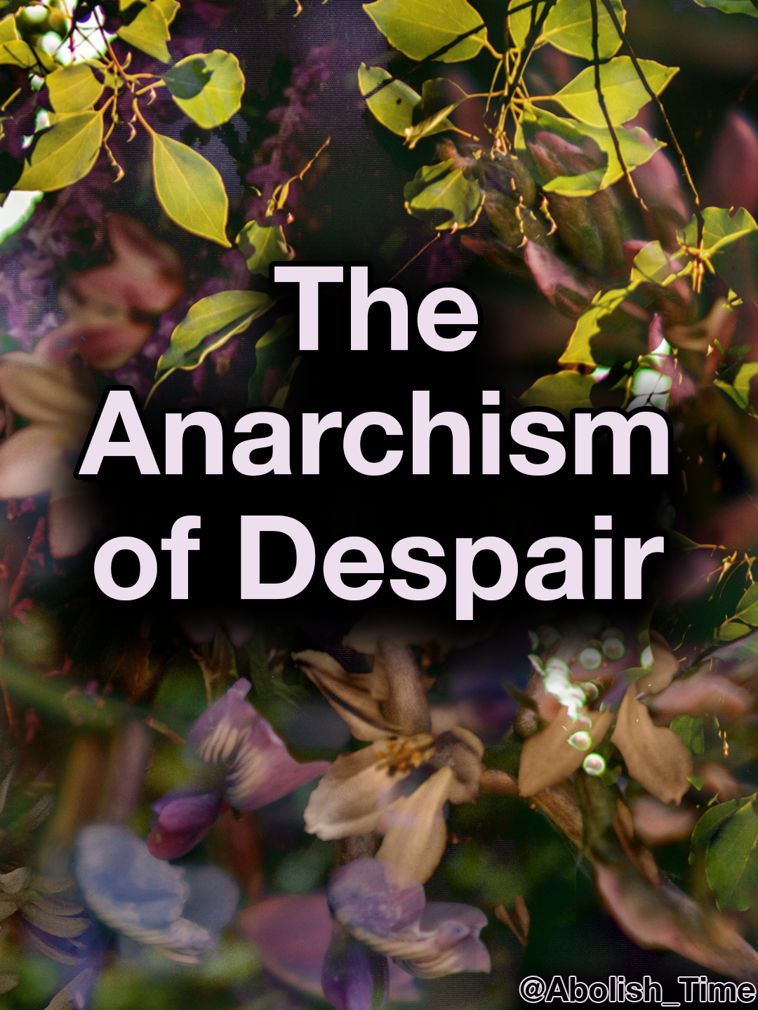 The Anarchism of Despair