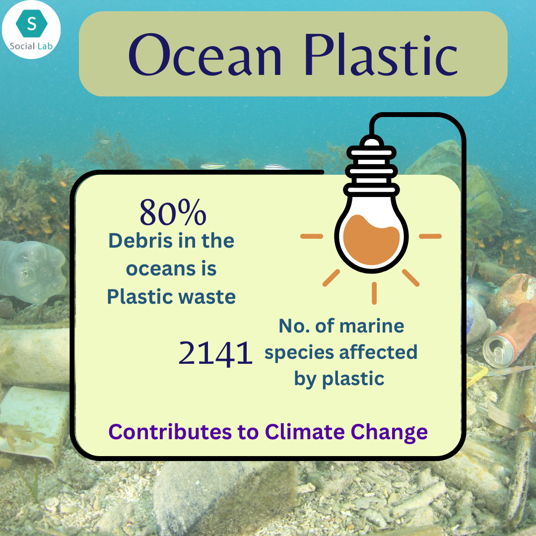 Role of the Municipality in the prevention of ocean plastic by Social
