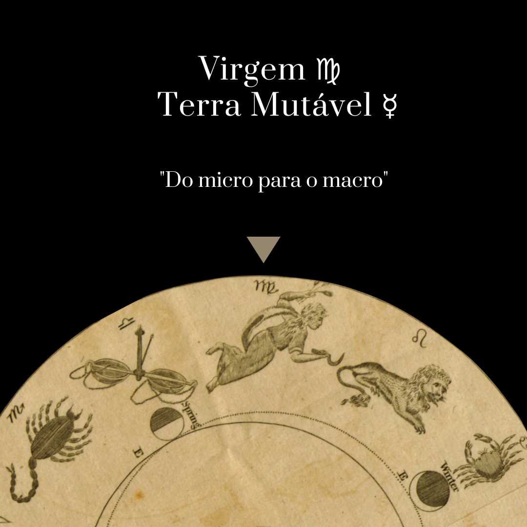 Virgem ♍ — Terra Mutável ☿