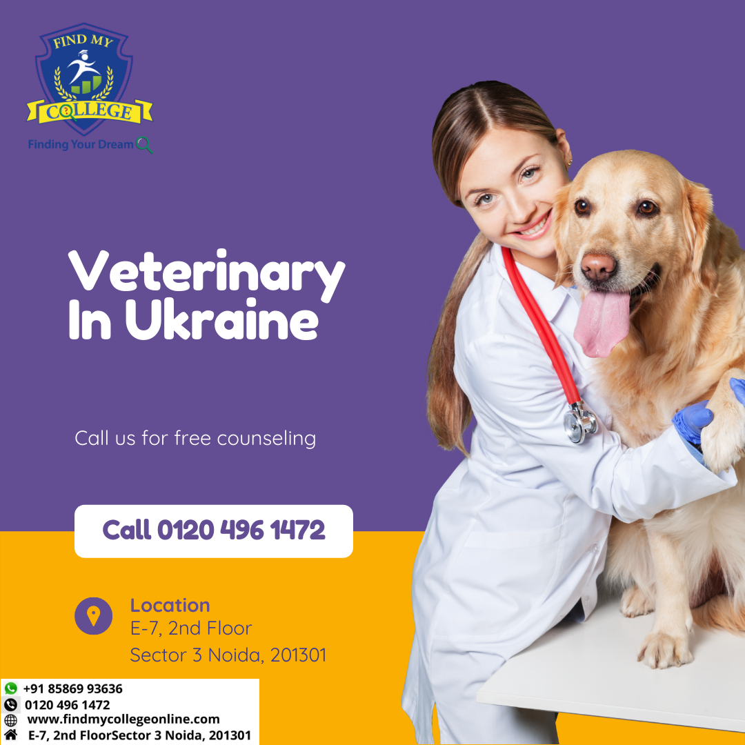 Veterinary doctors are the ones who treat illnesses and injuries in
