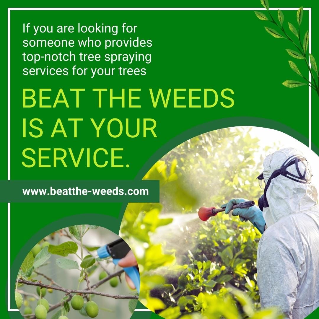 Lawn Spraying Service. Beat The Weeds OrganicBased Lawn… by Beat The
