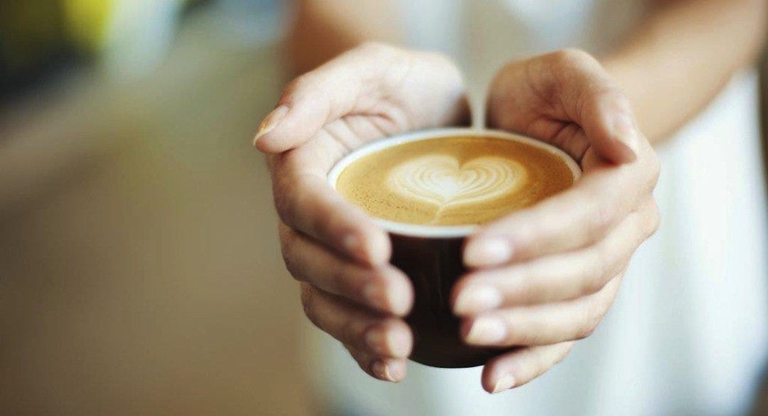 Discovering Geelong’s Coffee Culture The Best Coffee Shops in Kingston