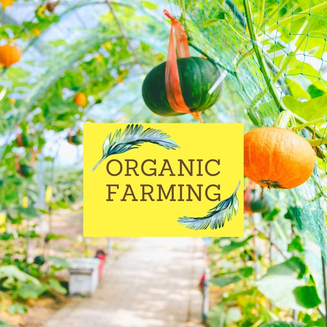 Future Prospects of Organic Farming in India