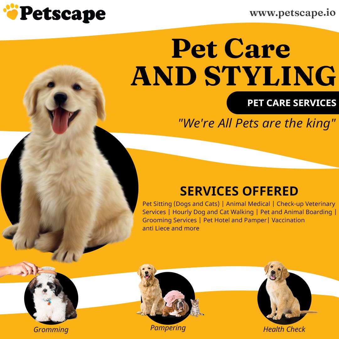🐶 Best Pet Care Services Near You 🐶 Petscape Medium