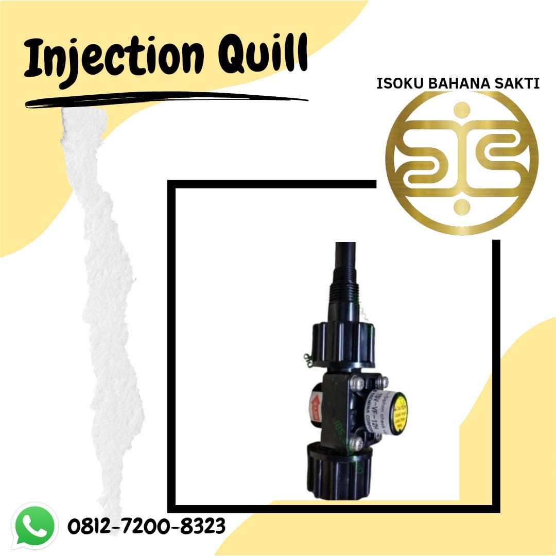 injection quill with check valve 081272008323 Dosing pump seko Medium
