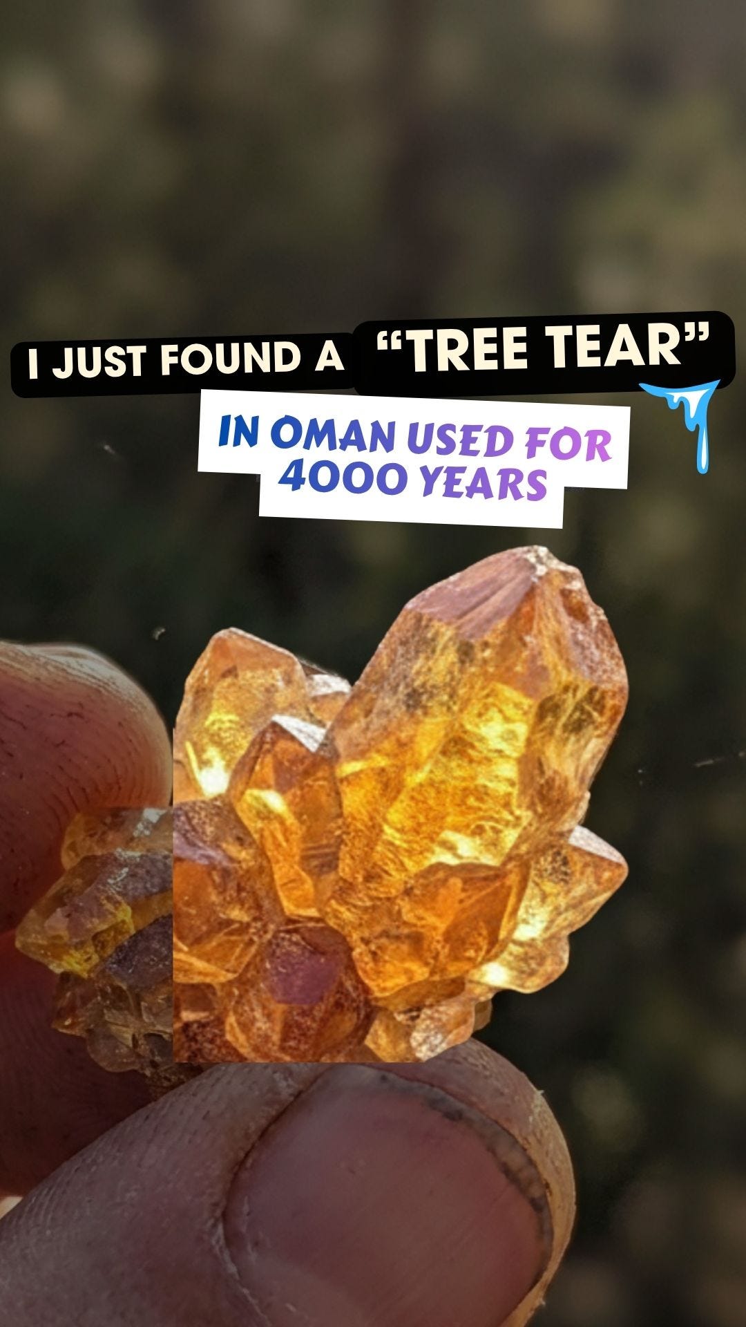 The Resin Once Worth More Than Gold: How Frankincense Shaped Empires, Faith, and Survival