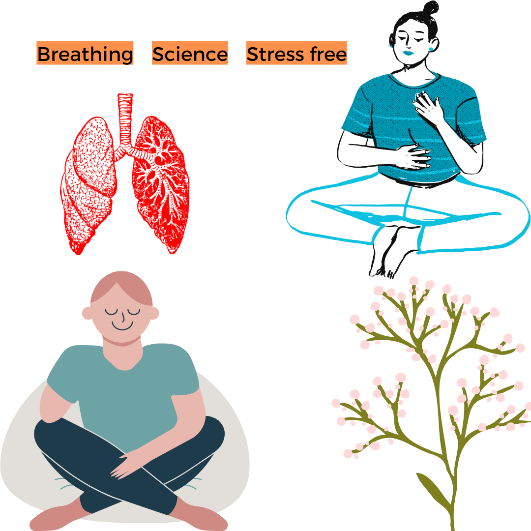 Physiological breathing. The science behind stress and how to break it