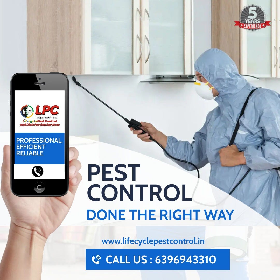 The History of Bed Bugs From Ancient Times to Modern Infestations by Kritika Medium