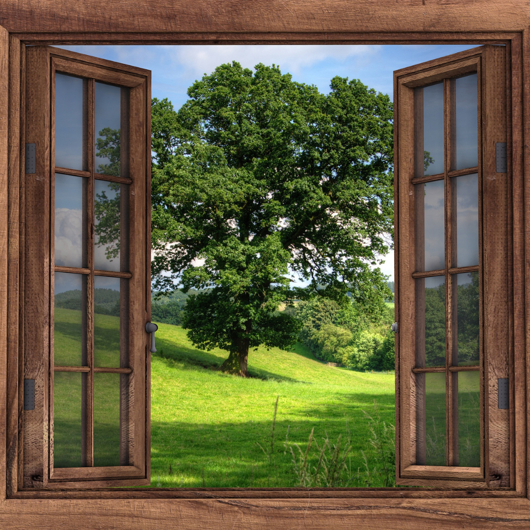 The Window. Free Verse Poem | by Poetry By Persephone | Medium