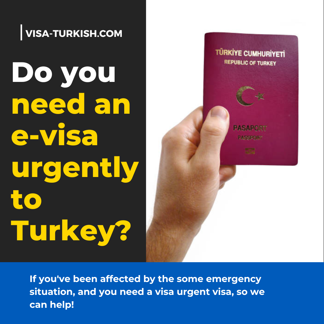 Urgent Visa to Turkey - Doli chauhan - Medium