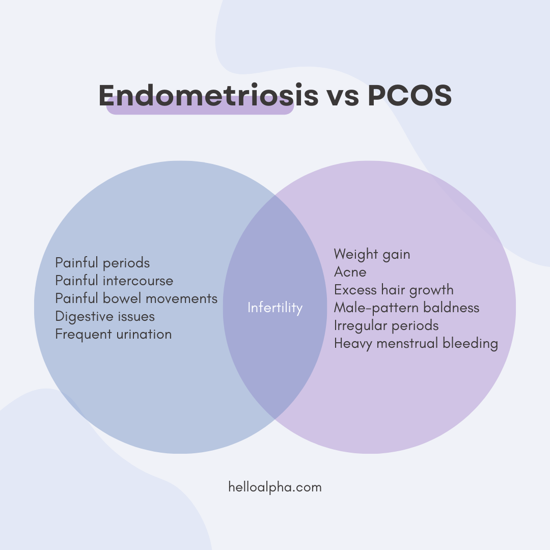 Endometriosis Vs PCOS How They re Different By Hello Alpha Team 