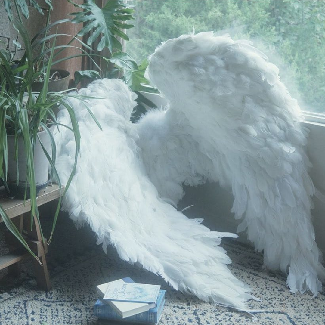 I Put My Dreams, In The Corner Of My Room by norang Oct, 2024 Medium