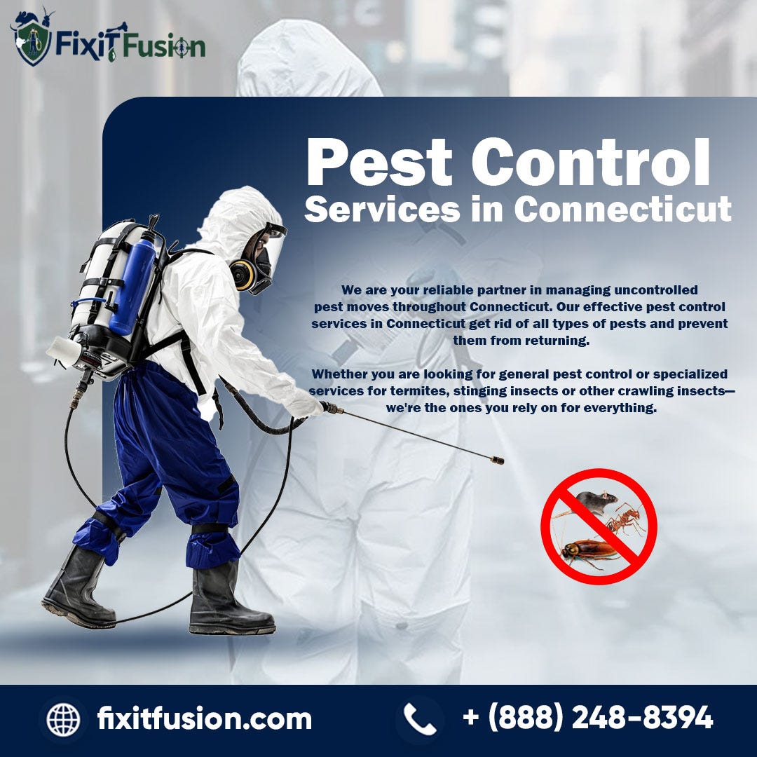 Complete Guide to Pest Control Services in Connecticut