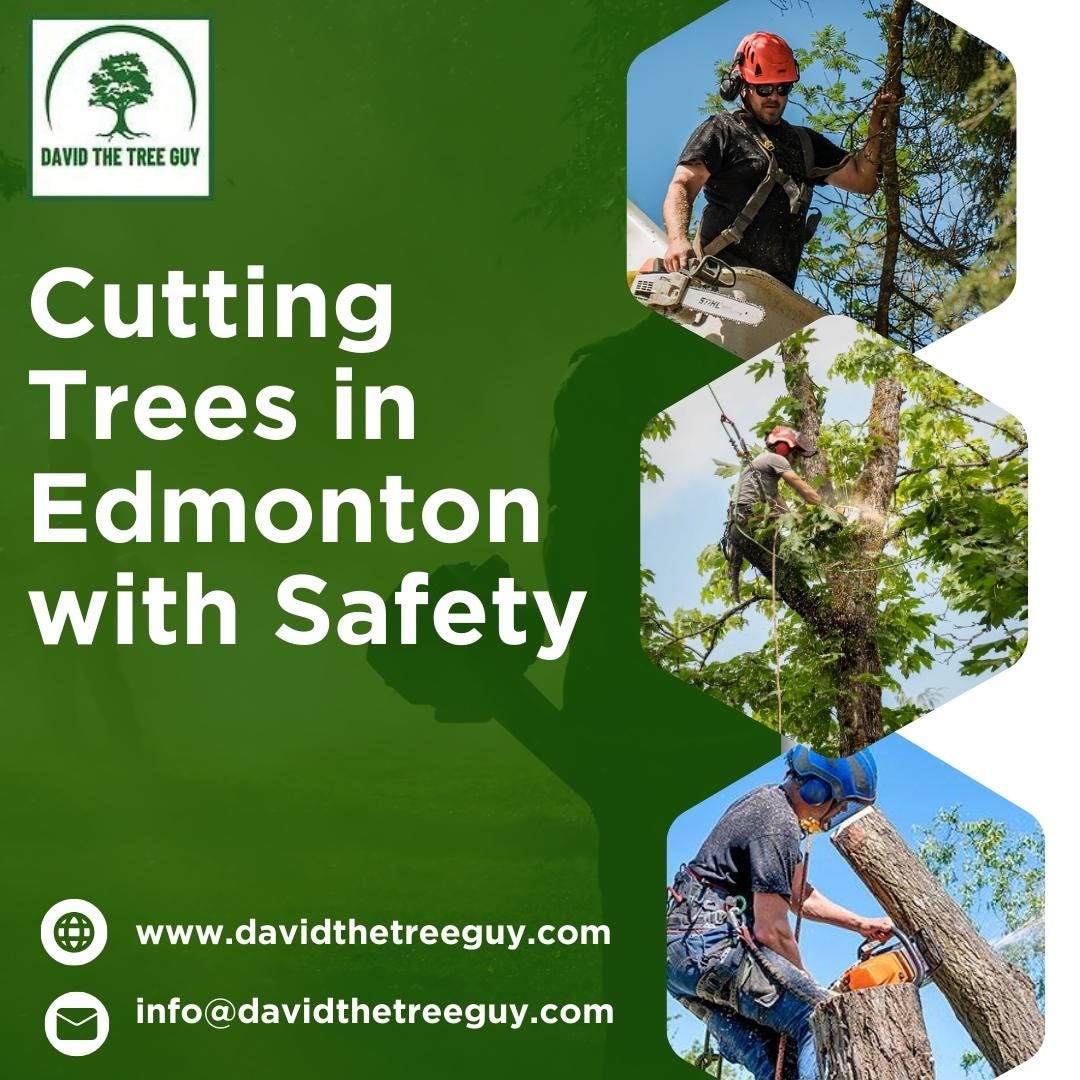 Cutting Trees in Edmonton with Safety David The Tree Guy Medium