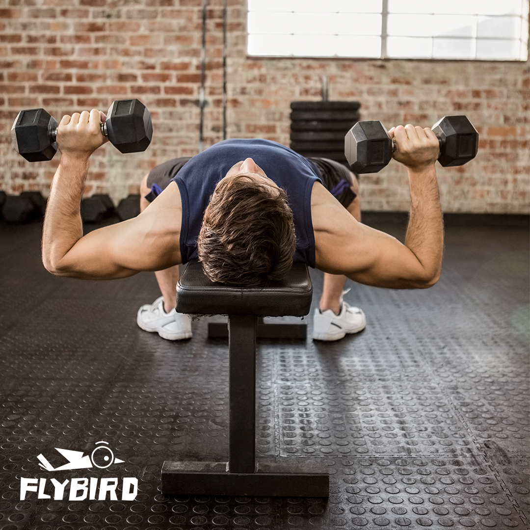 Bodyweight Exercises on an Adjustable Weight Bench A Comprehensive