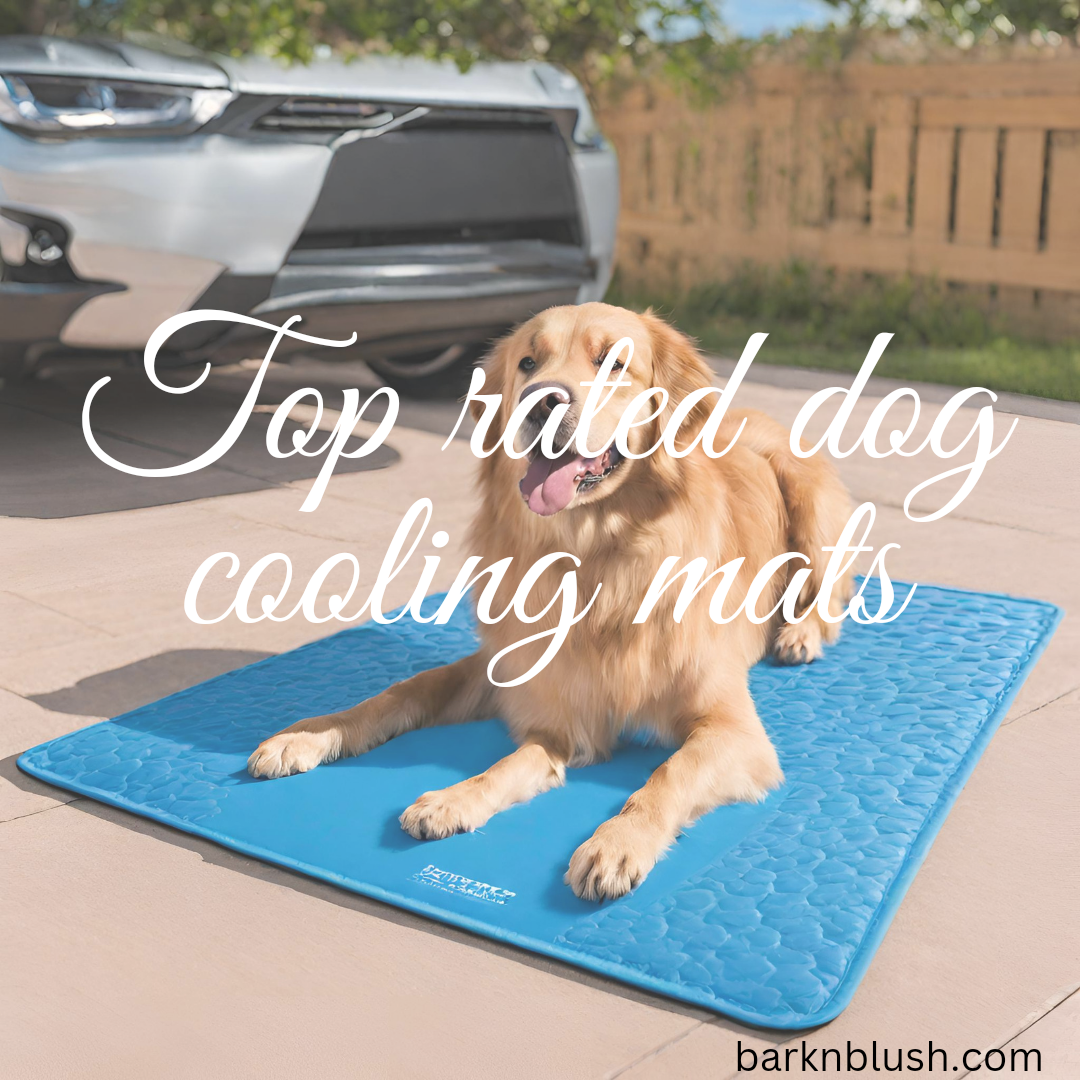 *The Cool Comfort of Dog Cooling Mats* by Barknblush Jan, 2024 Medium