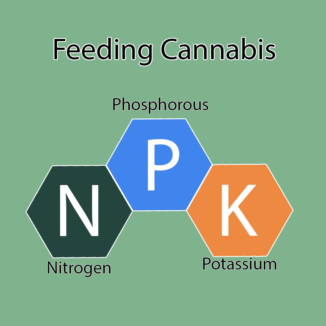 feeding-article-three-feeding-occurs-when-watering-sounds-by