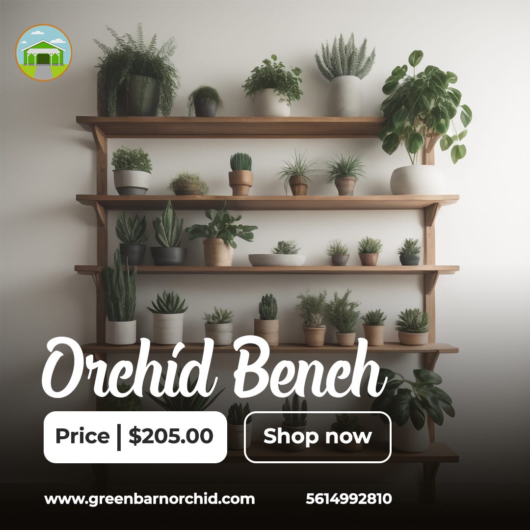 Orchid Benches: Elevating Elegance for Exquisite Florals - Green Barn Orchid  Supplies - Medium