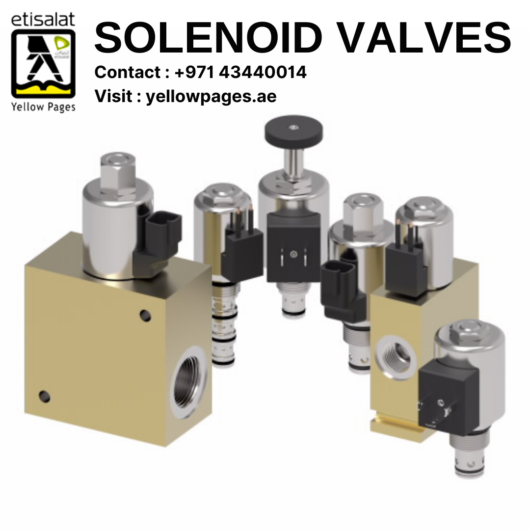 Top Solenoid Valves Manufacturers in UAE Aisha Anila Medium