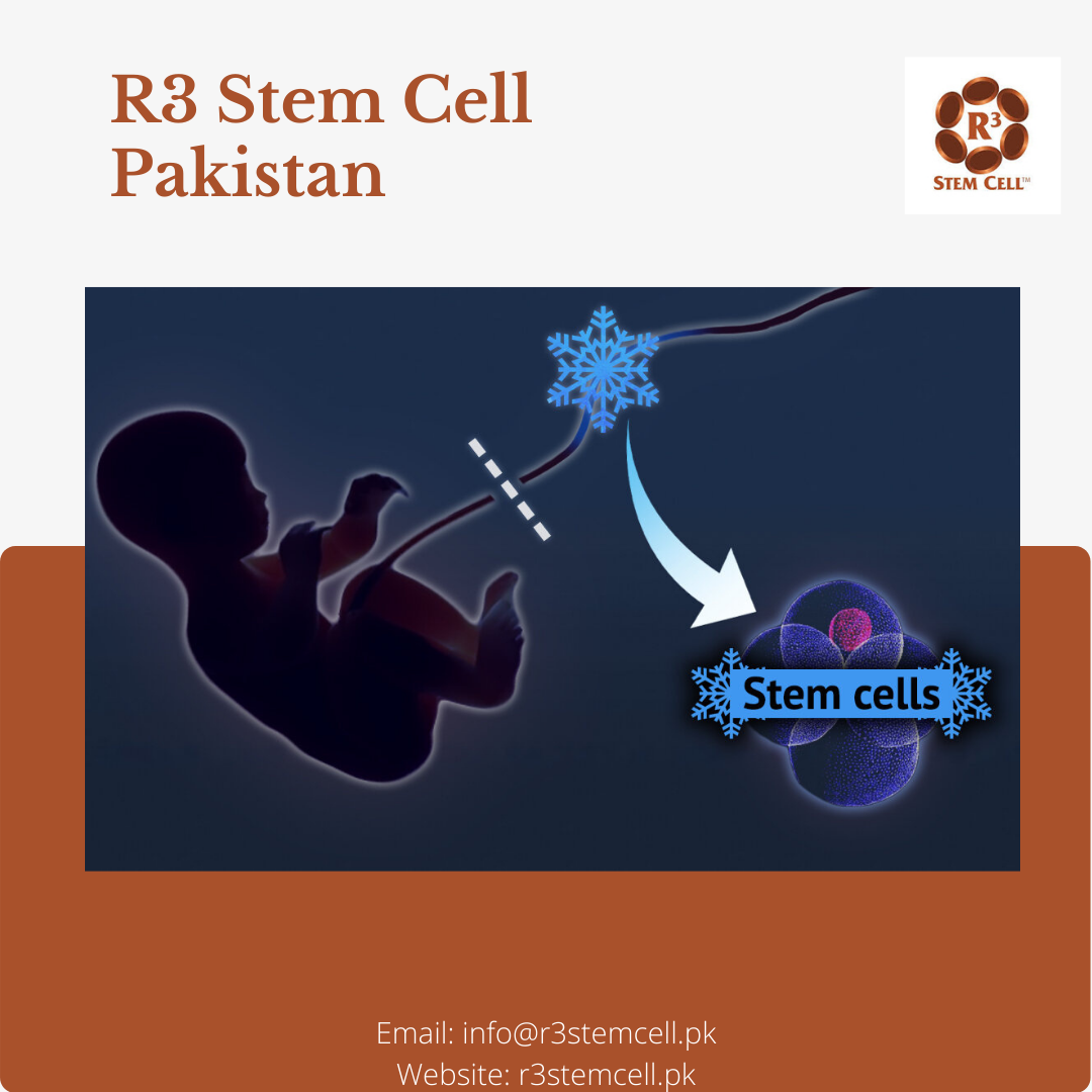 What Is Stem Cell Therapy Regenerative Medicine And How Does It Work By Usman Qazi Medium