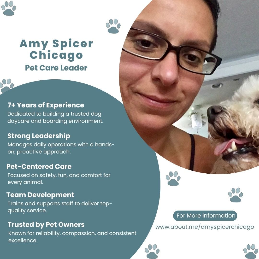 The Success Story of Amy Spicer Chicago in Pet Care