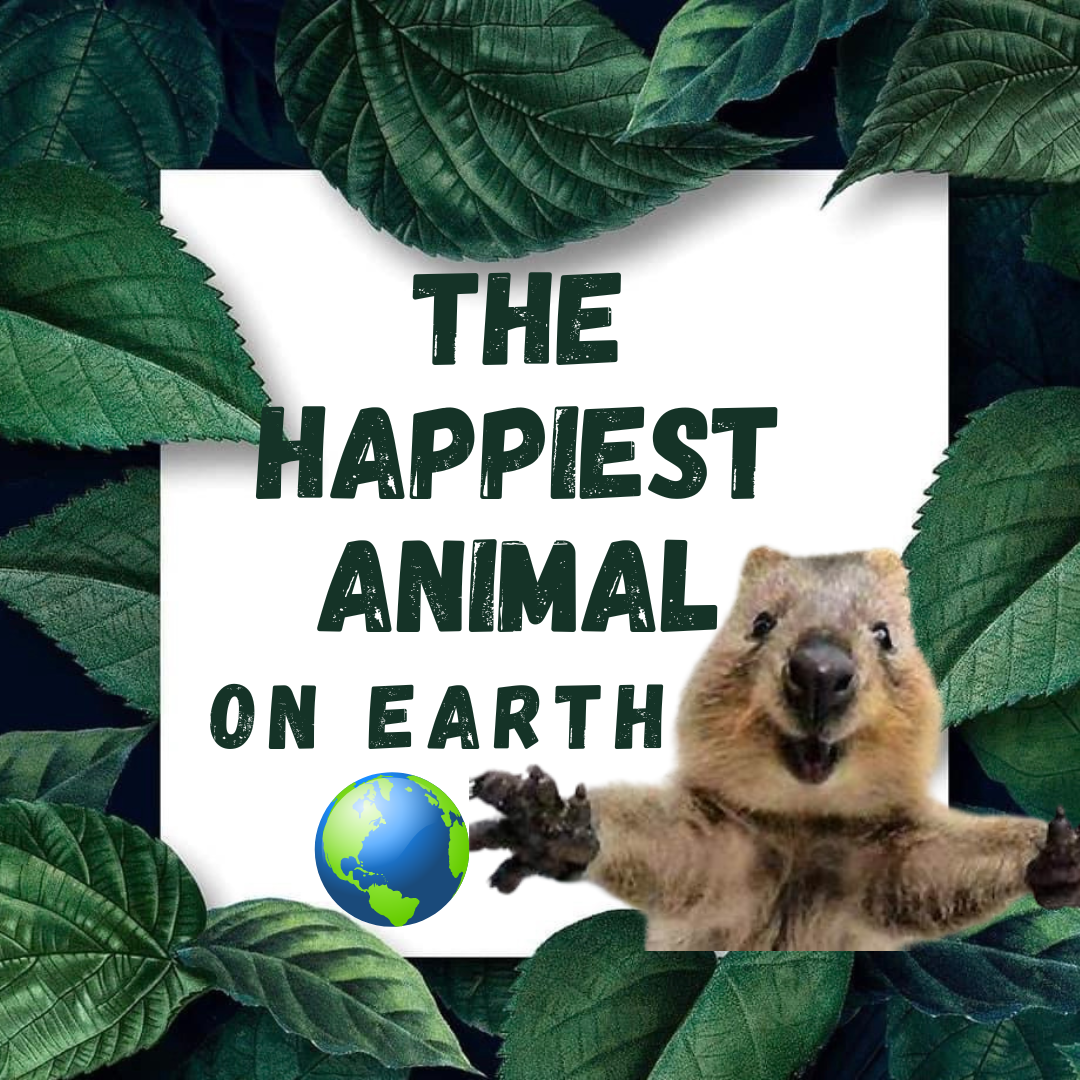 The Happiest Animal on Earth. In the vast tapestry of the animal… by Nethmi Nikeshala