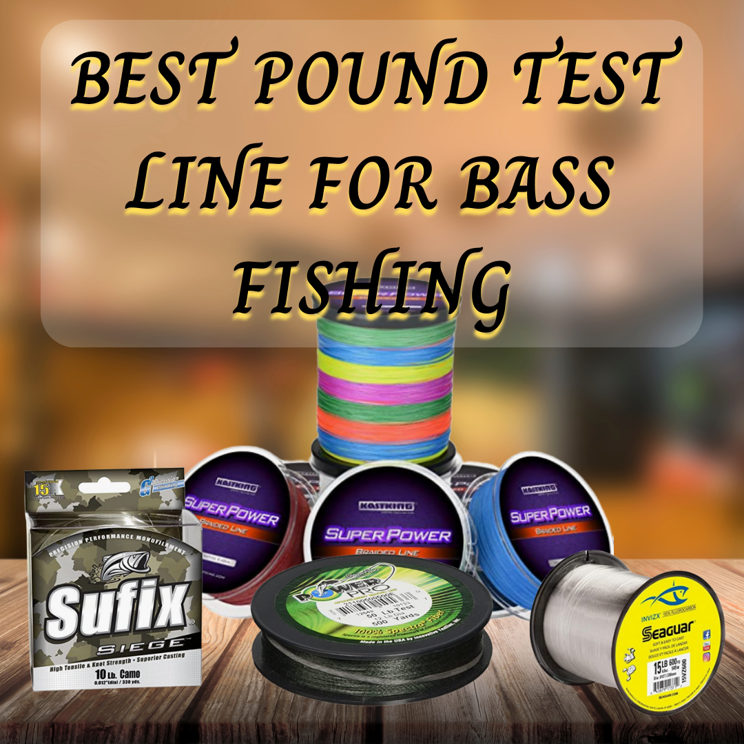 What is The Best Pound Test Line For Bass Fishing, by Trunk Outdoors