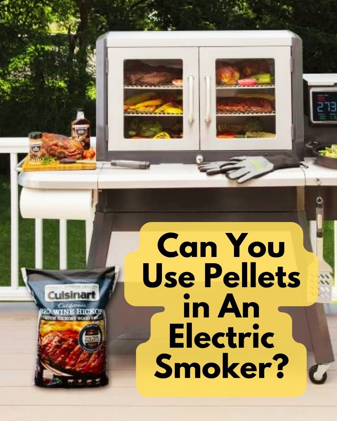 Can You Use Pellets in An Electric Smoker? Best Reviews For Kitchen