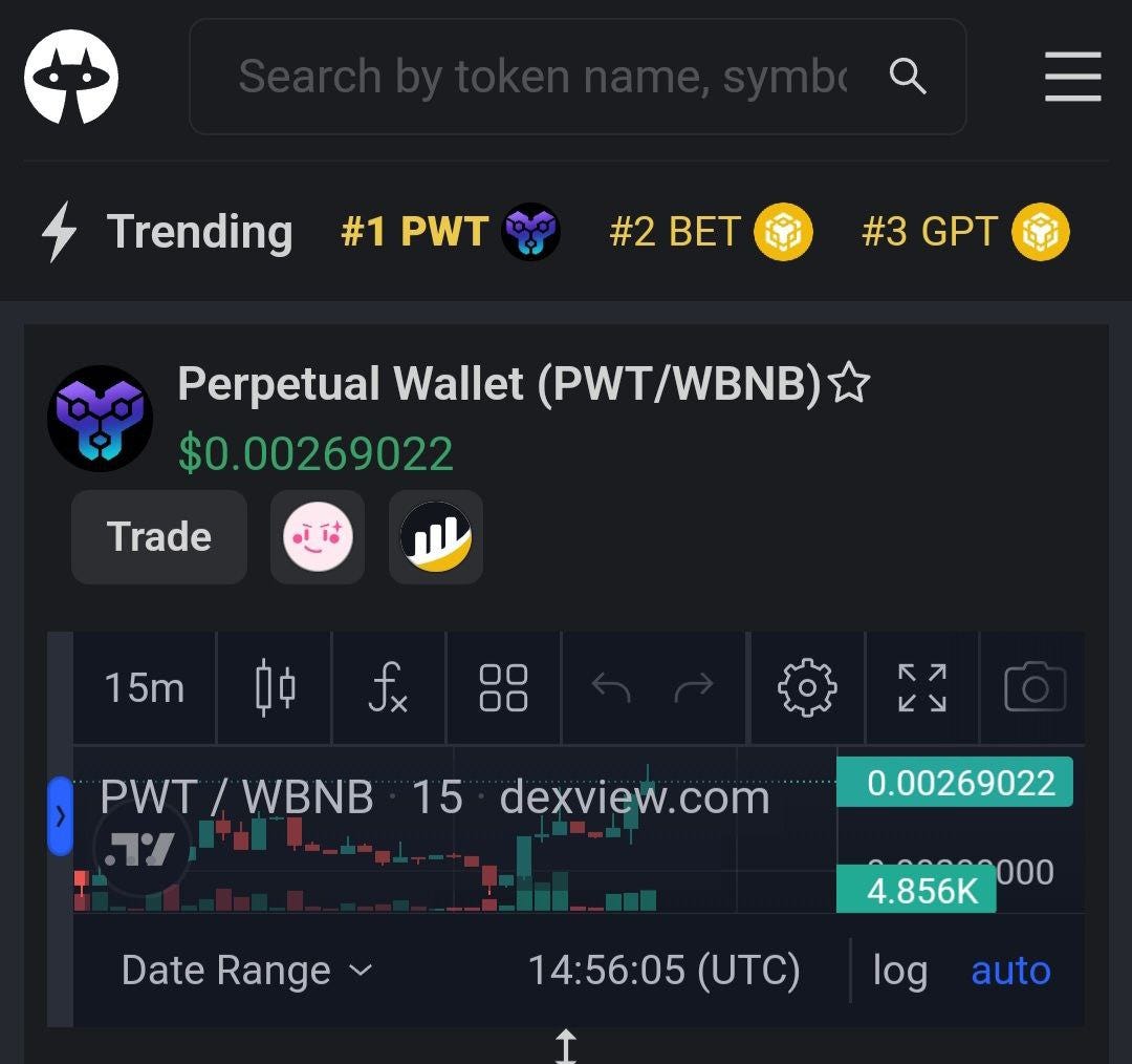 DEXVIEW Top 1 - Perpetual Wallet - Medium