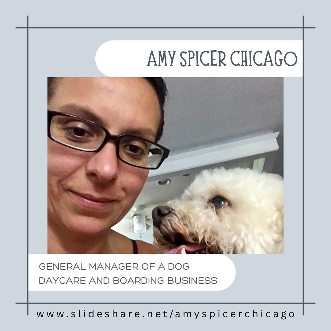 Amy Spicer Chicago: A Trusted Leader in Pet Boarding Services
