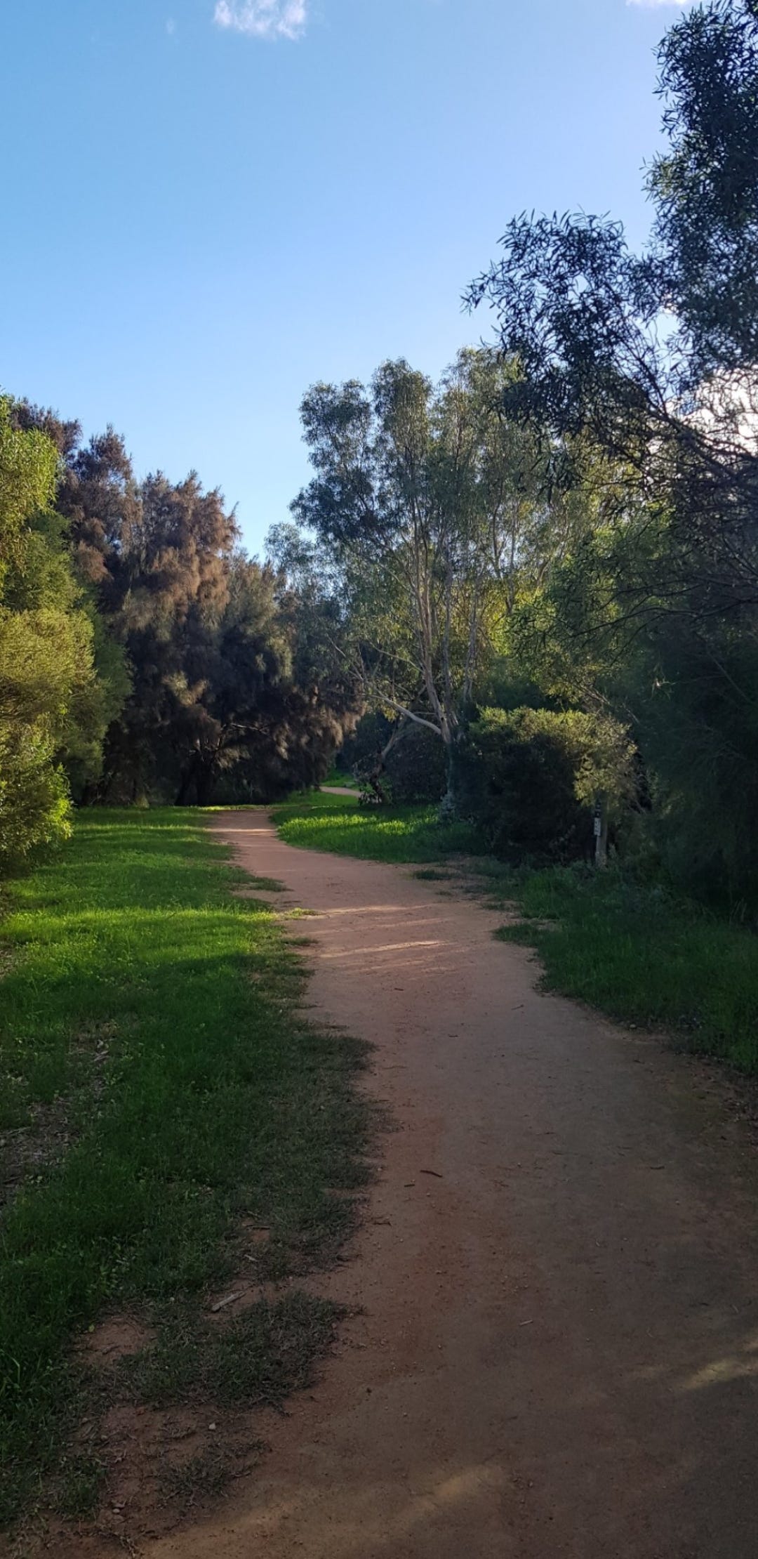 Yarranoo River Track © Lady Donga Diaries 2024