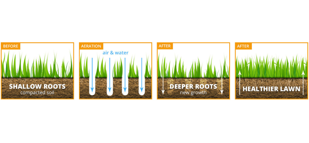 How to Prepare Your Lawn for Spring Success The Importance of Fall