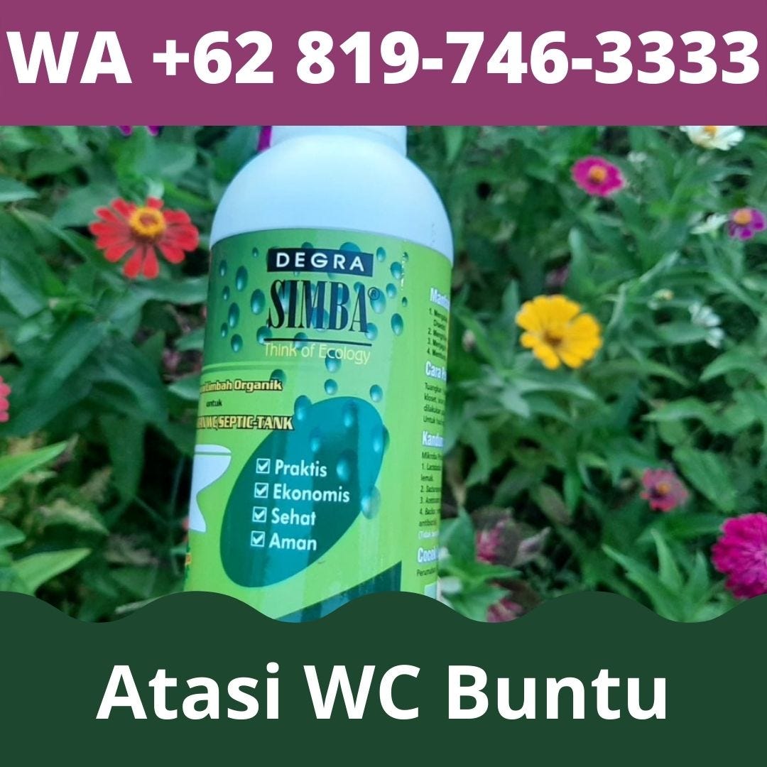 TERBAIK! WA +62 819–746–3333, Solusi WC Mampet Karena Sabun
