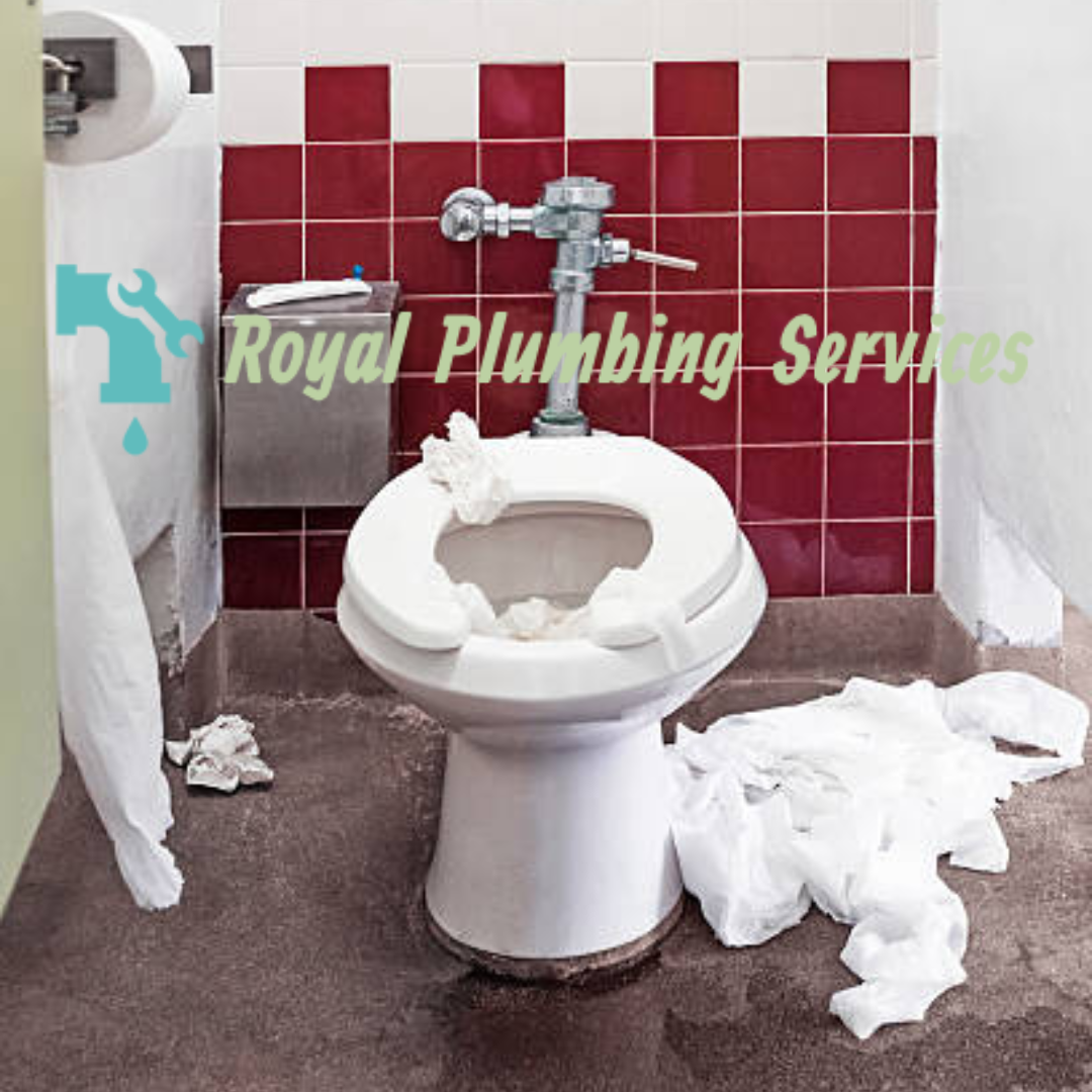 Is it okay to leave a clogged toilet overnight? | by Royal Plumbing ...