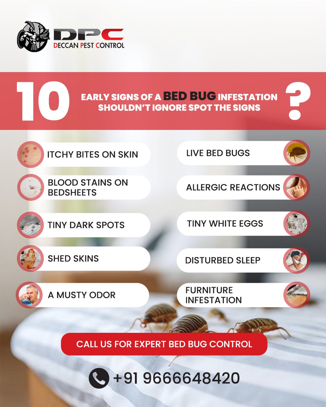 Do You Have Bed Bugs? Check These 5 Signs Before It Spreads