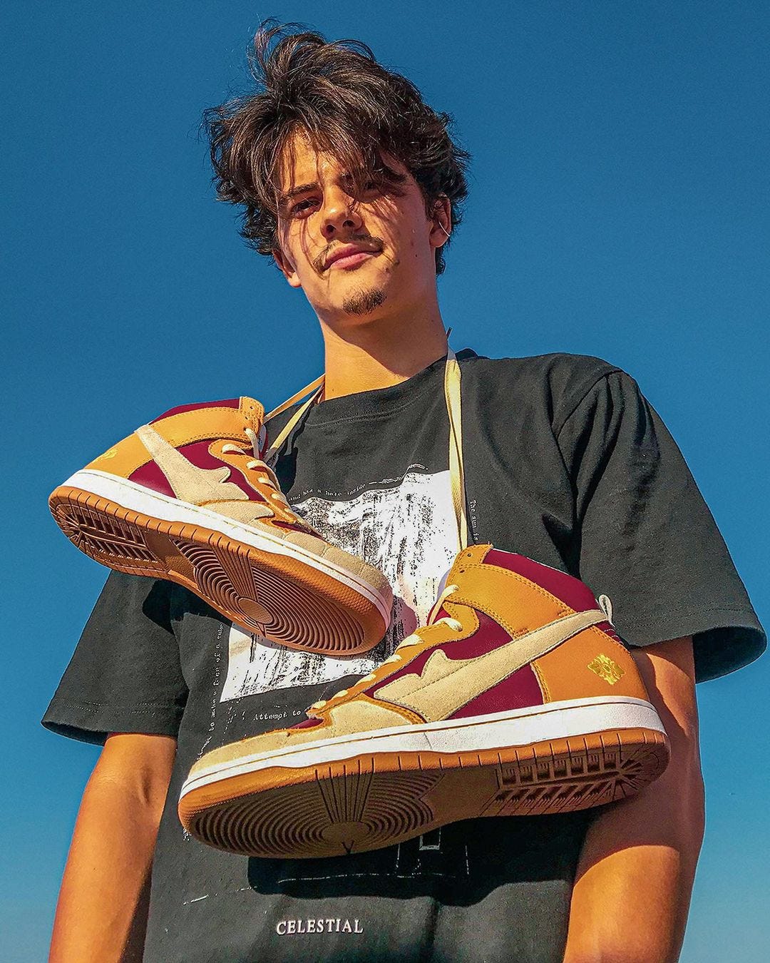 custom nike sb dunk high