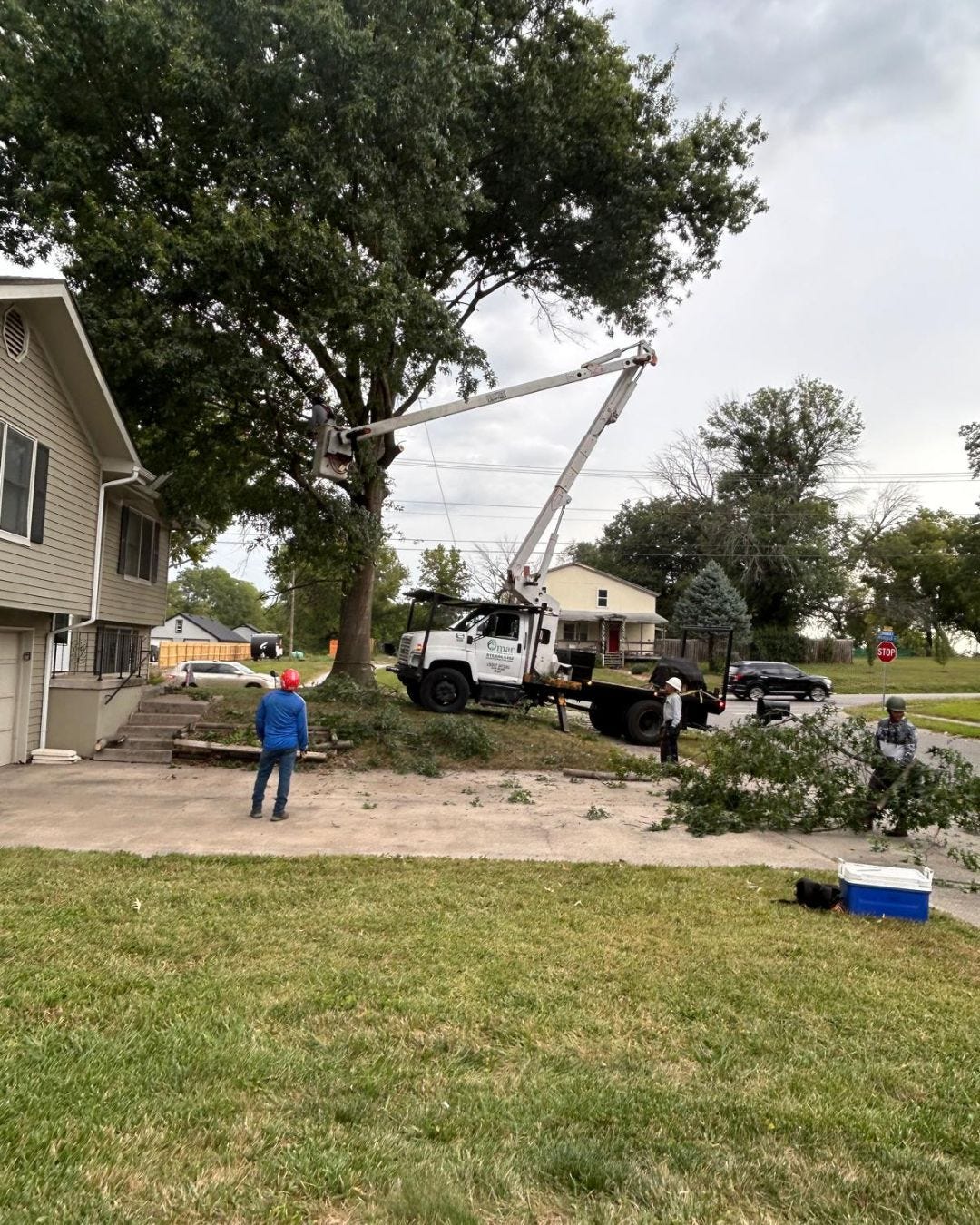 Top Benefits of Hiring Licensed and Insured Tree Service Kansas City Homeowners Can Trust
