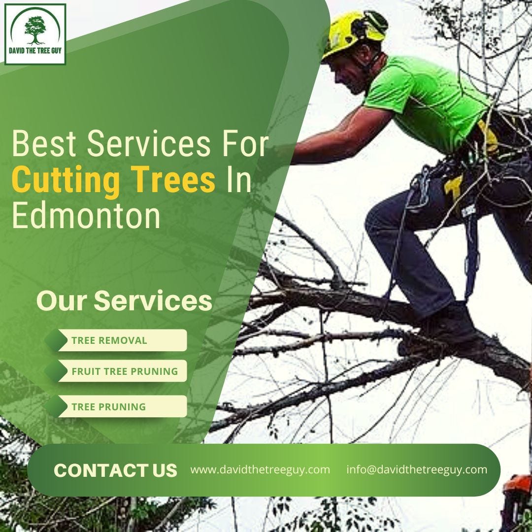 Best Services For Cutting Trees In Edmonton David The Tree Guy Medium